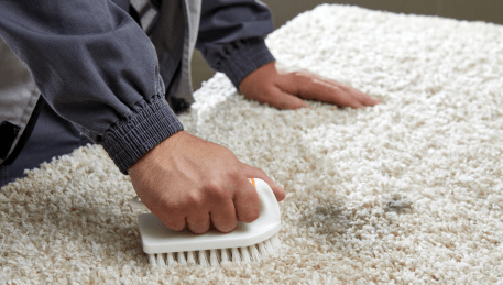 Professional Rug Cleaning Burnside